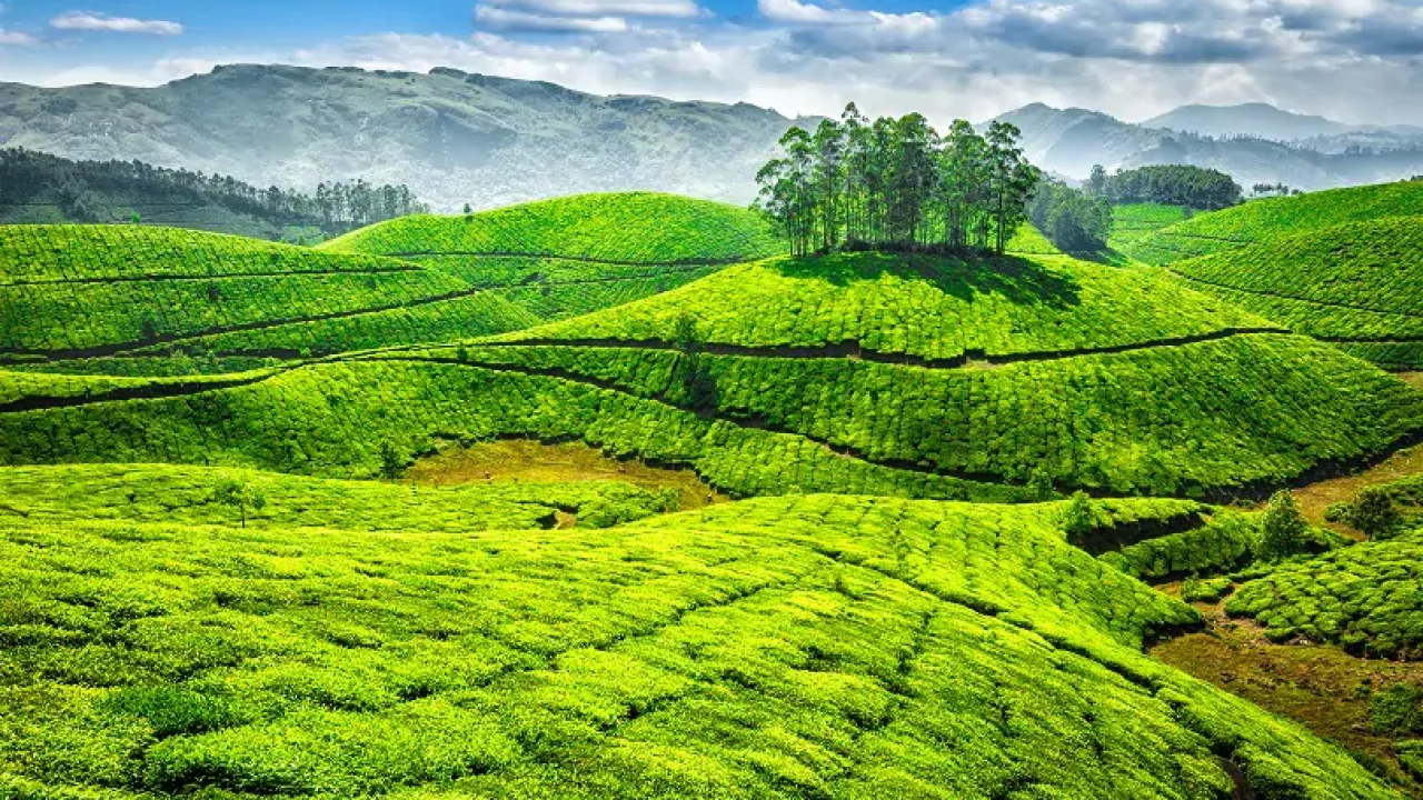 Best Time to Visit Ooty: Weather, Seasons, and Travel Tips Explained 1 Ooty sightseeing places