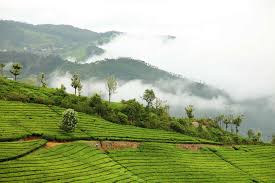 Coonoor sightseeing places
